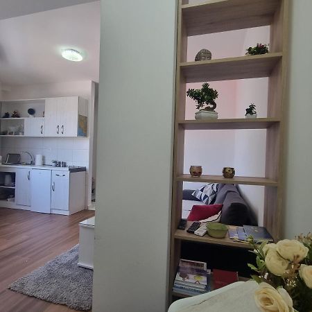 Victory Apartment Nikšić 外观 照片